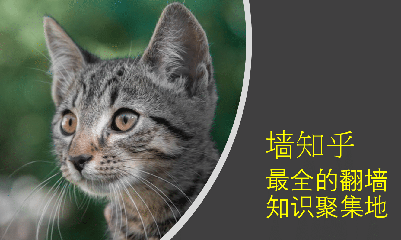 VPN cat master(快喵VPN) 2023中国 VPN翻墙怎么样